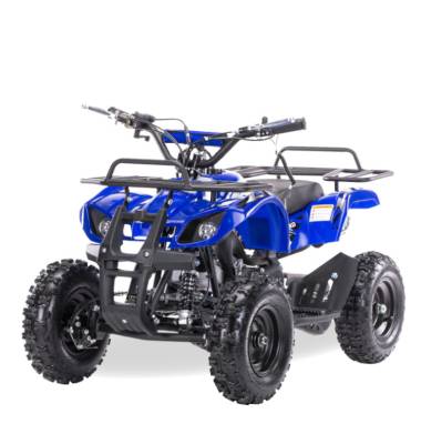 Квадроцикл детский Motax (Мотакс) ATV Mini Grizlik X - 16 [мех] синий (машинокомплект)