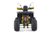 Квадроцикл подростковый FXMOTO (ФХМото) PIKE 150 жёлтый (машинокомплект) - купить с доставкой, цены в интернет-магазине Мототека