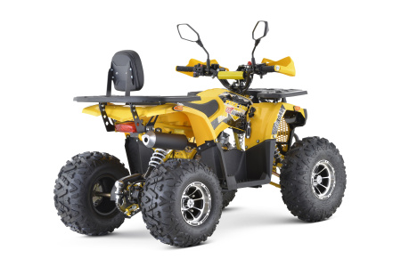 Квадроцикл подростковый FXMOTO (ФХМото) PIKE 150 жёлтый (машинокомплект) - купить с доставкой, цены в интернет-магазине Мототека